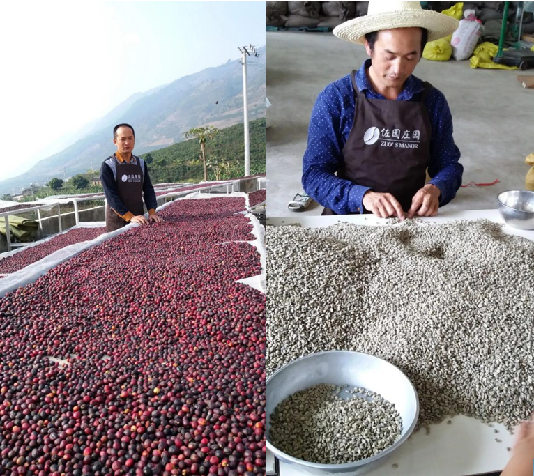 2020云南咖啡生豆大賽兩岸共33個站點即將火熱開賽！