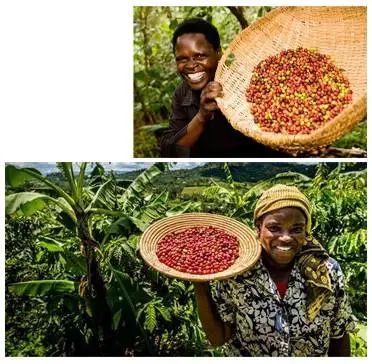 “烏干達咖啡日”首場活動落地廣州 多方聯線推進中烏咖啡行業(yè)合作 “烏干達咖啡日”首場活動落地廣州 多方聯線推進中烏咖啡行業(yè)合作